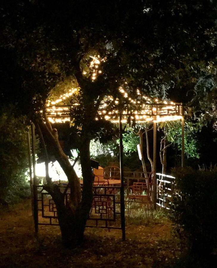 La Cactee Singuliere Béziers Exterior foto