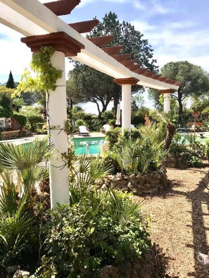 La Cactee Singuliere Béziers Exterior foto