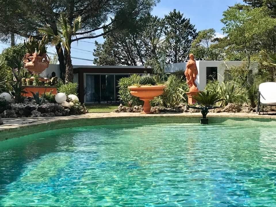La Cactee Singuliere Béziers Exterior foto