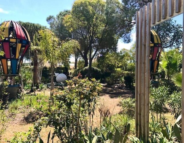 La Cactee Singuliere Béziers Exterior foto