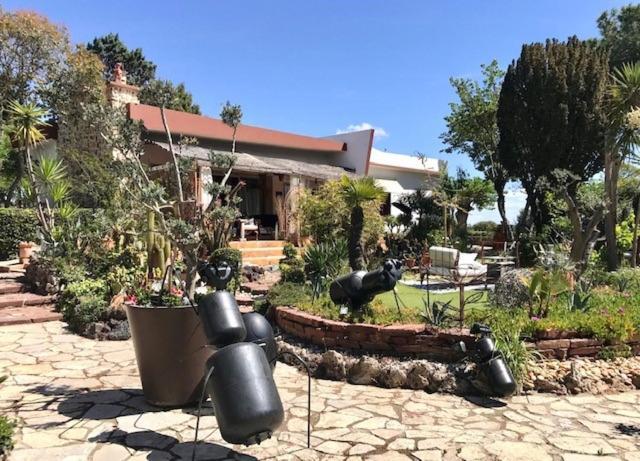 La Cactee Singuliere Béziers Exterior foto
