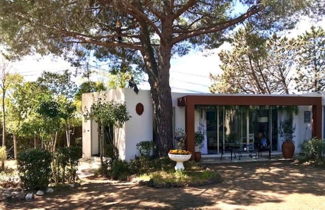 La Cactee Singuliere Béziers Exterior foto