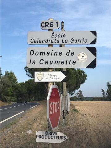 La Cactee Singuliere Béziers Exterior foto